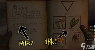 天国拯救2新手玩家如何找到草药分布点位