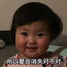 所以爱会消失对不对的下一句怎么接