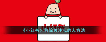 小红书如何移除粉丝