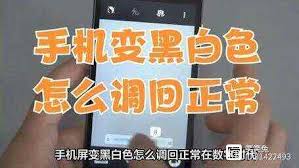 手机屏幕变黑白如何恢复