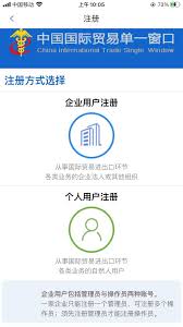 掌上单一窗口如何查询快递