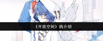 开放空间珂值得入手吗