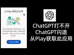 play商店搜索闪退如何解决