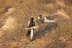 燕云十六声猫瘾患者奇遇如何完成