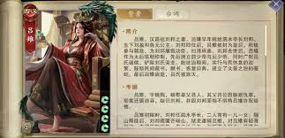 代号杀吕雉怎么样