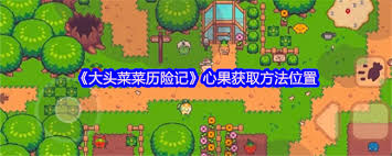 大头菜菜历险记猪王在哪里