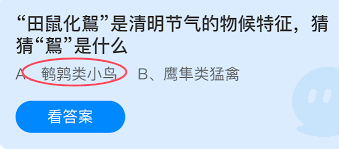 田鼠化鴽是清明节气的物候特征