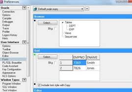 plsql developer中文显示乱码怎么办