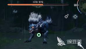 荒原曙光萌新发育需要做哪些准备