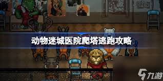 迷城陆区平民区医院人员如何配置