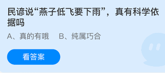燕子低飞真的预示要下雨吗