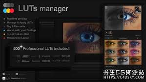 AE如何删除画笔预设