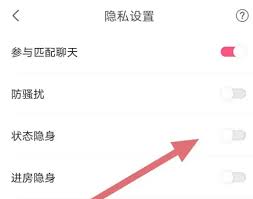 kook怎么隐藏个人游戏状态