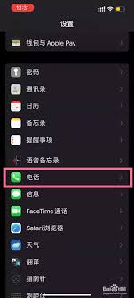 苹果手机如何设置来电拦截