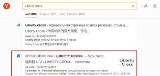 俄罗斯新引擎免费网址查询