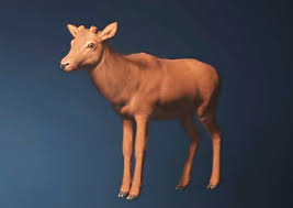 七日世界怎么获取鹿皮