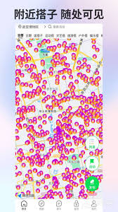 不花钱最火的聊天软件是哪个