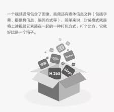 导出的视频太大怎么办