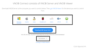 VNC远程控制软件怎么安装