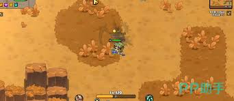 英勇之地剑客适合搭配什么装备