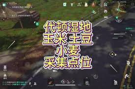 七日世界变异小麦位置在哪