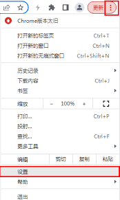 Google浏览器如何设置主页