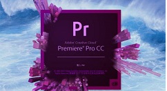 Premiere彩色视频如何进行黑白化处理_Premiere将彩色视频进行黑白化处理流程分享
