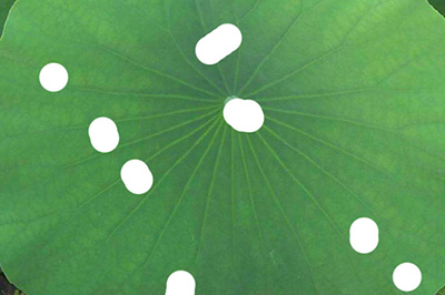 PS怎么做水滴效果？制作水滴效果流程详解