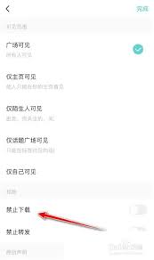 soul怎么设置瞬间禁止下载