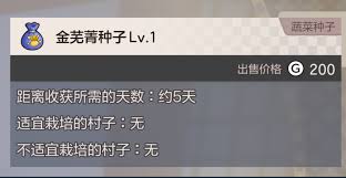 符文工房龙之天地中环后怎么玩