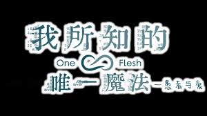 魔法愚者与爱在何处下载