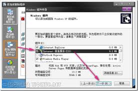 XP系统下如何安装与基本配置IIS