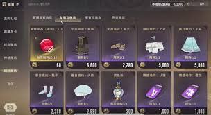 星痕共鸣缤纷商店玩法攻略