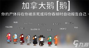 鹅鸭杀加拿大鹅厉害吗