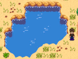 星露谷物语卡利科沙漠有什么值得关注的要点