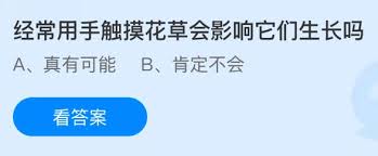 经常用手触摸花草是否会影响它们生长