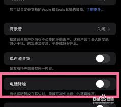 ios15系统怎样开启电话降噪功能