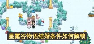 星露谷物语如何结婚