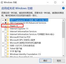 Windows 10家庭版能否运行虚拟机