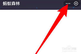 蚂蚁森林过期能量怎么查看