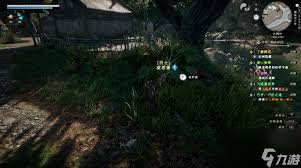 下一站江湖2羽士如何提升