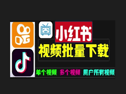 小红书图片一键批量下载软件怎么用