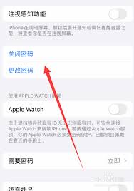 苹果15如何设置密码锁屏