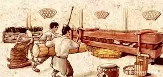 结子榨油驱动力咏叹的是哪个树