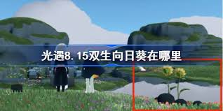 光遇有友节双生向日葵位置在哪
