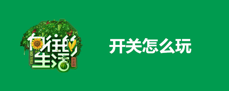 向往的生活3开关怎么玩？开关游戏玩法介绍