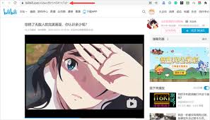 哔哩哔哩视频如何下载