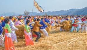 拔草龙是哪个民族的习俗