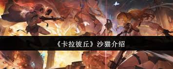 卡拉彼丘沙猫怎么样