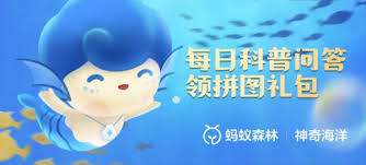 支付宝神奇海洋中砗磲名字的由来